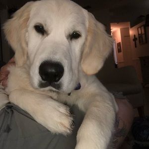 Meet your Posher, Marlene